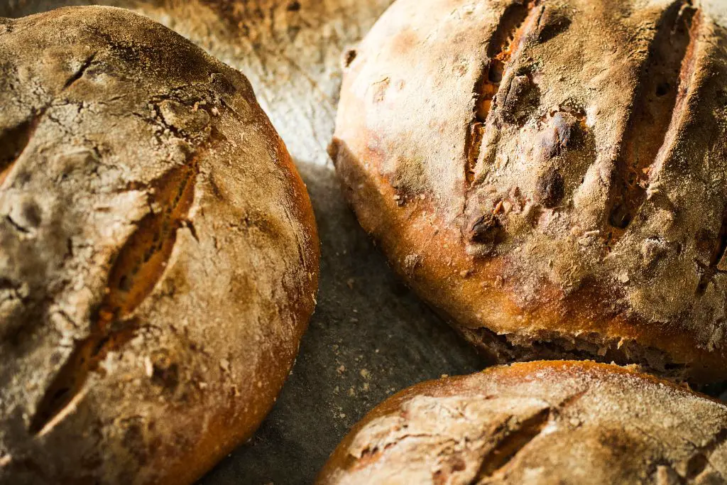 Sourdough Bread for Dogs: The Good, the Bad, and the Ugly