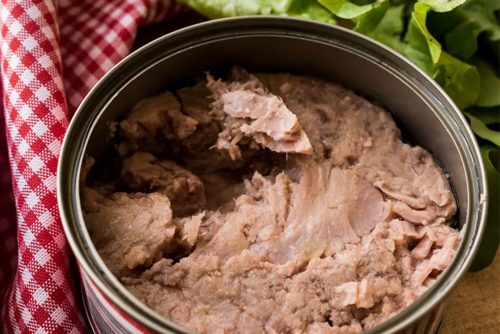 Can dogs eat canned tuna?