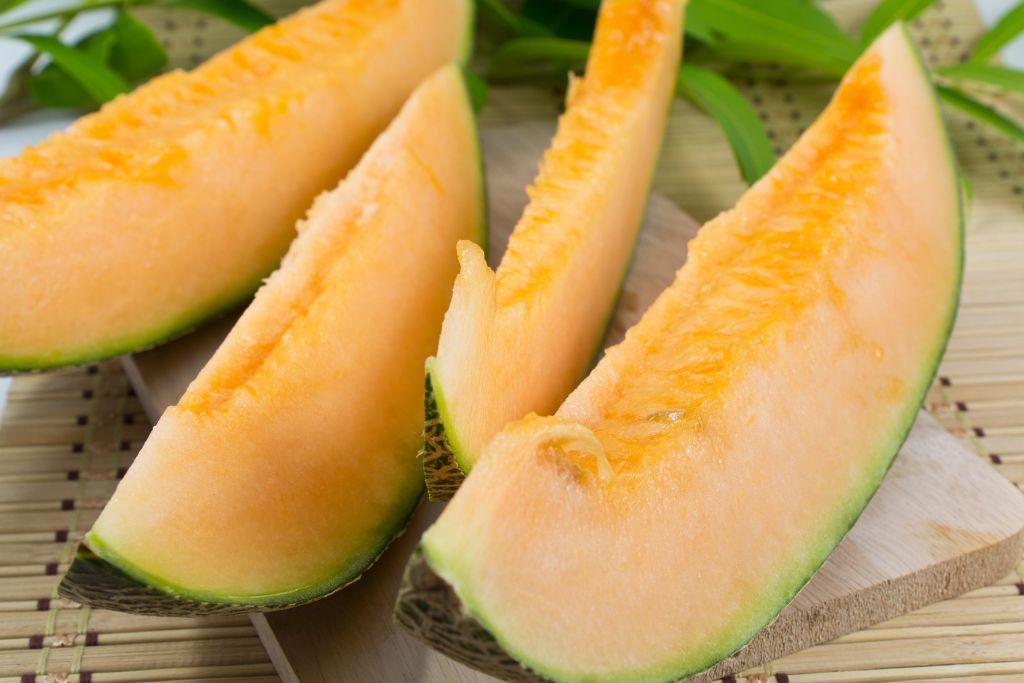 Can dogs eat cantaloupe?