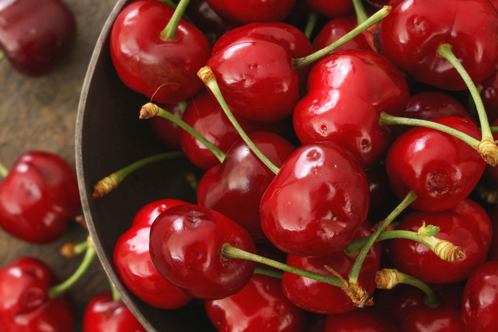 Can dogs eat cherries without seeds?