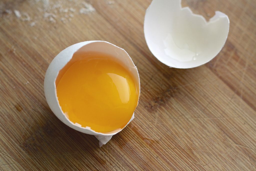Can dogs eat egg shells?